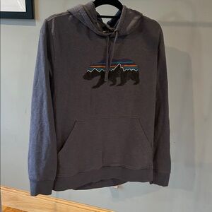 Patagonia Blue Hoodie with Mountain Design